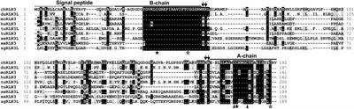 Characterization of relaxin 3 and its receptors in chicken: Evidence for relaxin 3 acting as a novel pituitary hormone